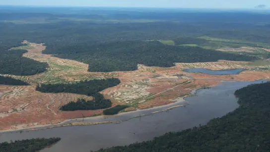Entwaldete Waldflächen am Rande des Juruena-Nationalpark im Amazonas-Regenwald. (Foto: Isaac Risco-Rodriguez/dpa)