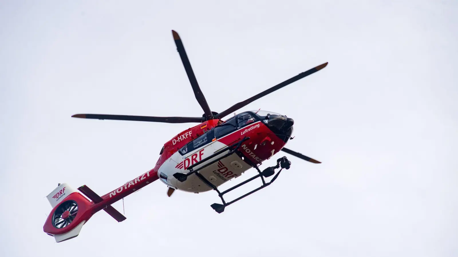 Ein Rettungshubschrauber war nach einem Unfall bei Waldarbeiten im Einsatz. (Symbolbild) (Foto: Stefan Sauer/dpa)