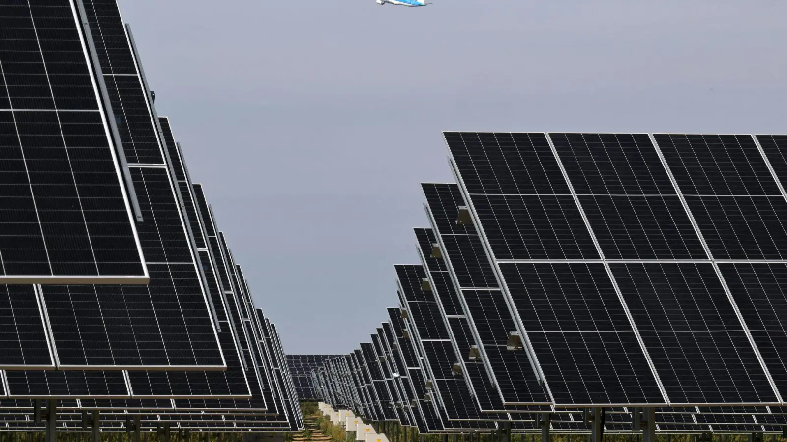 Freiflächen-Photovoltaikanlagen gelten als die günstigste Art der Stromproduktion. (Archivbild) (Foto: Michael Bahlo/dpa)