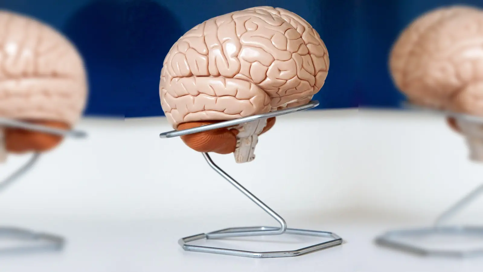 Neuroplastizität beim Windelwechsel: Die Geburt eines Kindes verändert nicht nur das Leben, sondern auch das Gehirn von Vätern. (Foto: Georg Wendt/dpa/dpa-tmn)