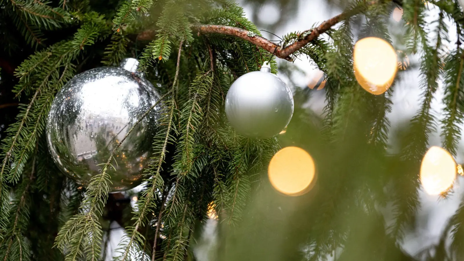 Auch der Christbaumschmuck, die Lichterkette und ein angrenzender Holzzaun wurden beschädigt. (Symbolbild) (Foto: Fabian Sommer/dpa)