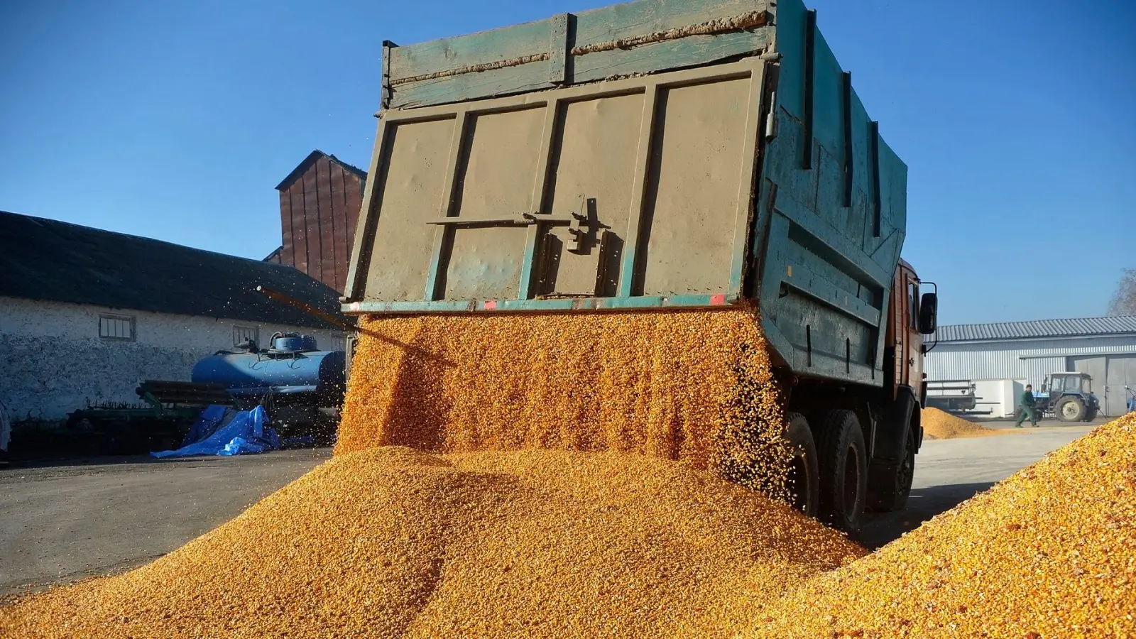 Agrarexporte der Ukraine haben für Unmut bei Bauern in der EU gesorgt. (Archivbild)  (Foto: ---/Ukrinform/dpa)