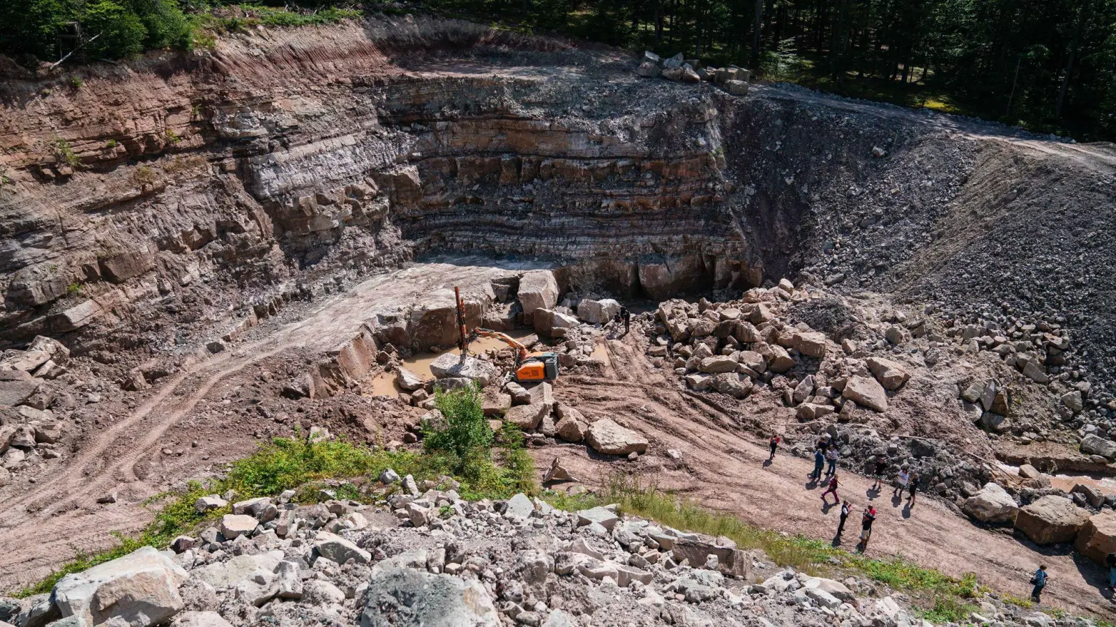 In diesem Steinbruch wurden 2021 die Funde gemacht, die nun ausgestellt werden. (Archivbild) (Foto: Nicolas Armer/dpa)
