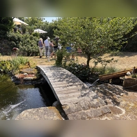 Ein Lieblingsplatz ist der Gartenteich im Garten von Gudrun Baum. (Foto: Nicole Gunkel)