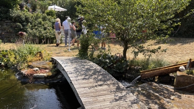 Ein Lieblingsplatz ist der Gartenteich im Garten von Gudrun Baum. (Foto: Nicole Gunkel)