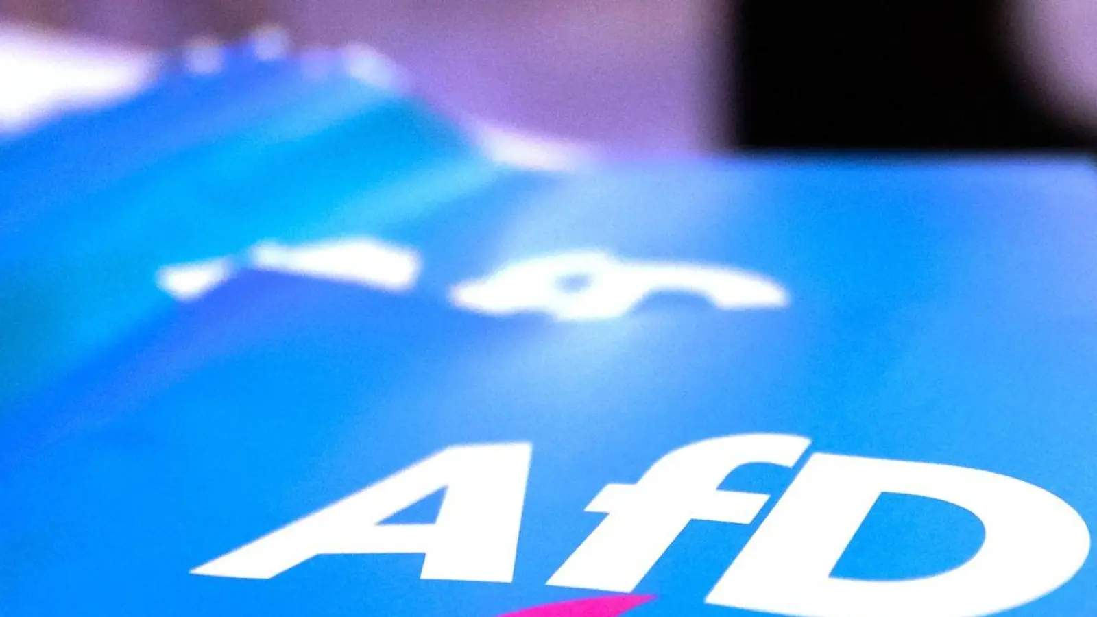 Fähnchen mit dem Logo der AfD liegen auf einem Tisch. (Foto: Daniel Karmann/dpa)