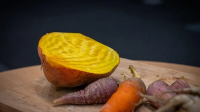 In der Küche sind Rüben vielseitig einsetzbar: Sie schmecken roh im Salat, als Ofengemüse oder im Eintopf. (Foto: Zacharie Scheurer/dpa-tmn)