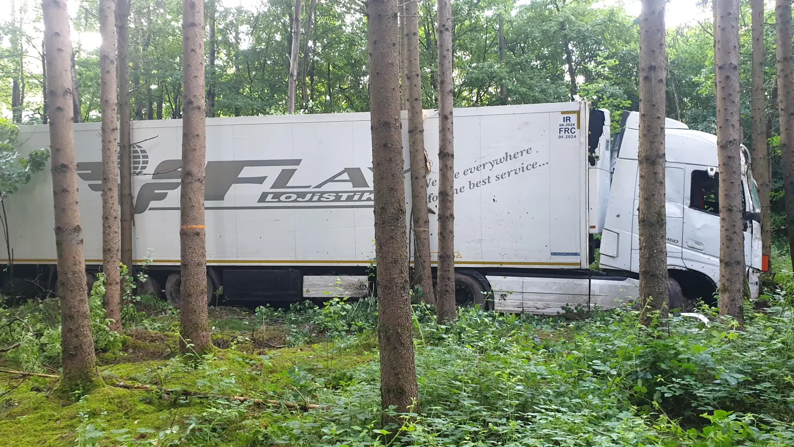 Ein mit Karotten beladener Sattelzug ist in der Nacht zum Donnerstag in einem Wald neben der Autobahn A6 gelandet. (Foto: Wolfgang Grebenhof)