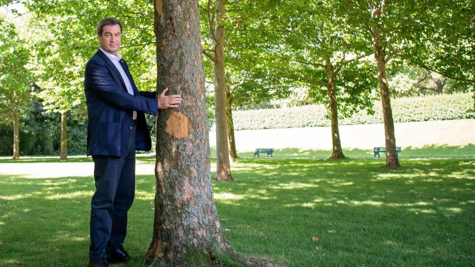 Dieses Foto verfolgt Markus Söder seit seiner Aufnahme 2020: Damals umarmte der bayerische Ministerpräsident einen Baum in München um zu zeigen, wie wichtig ihm der Klimaschutz ist. Nun hat Söders Kabinett die Klimaneutralität von 2040 auf 2045 verschoben. (Archivbild) (Foto: Peter Kneffel/dpa)