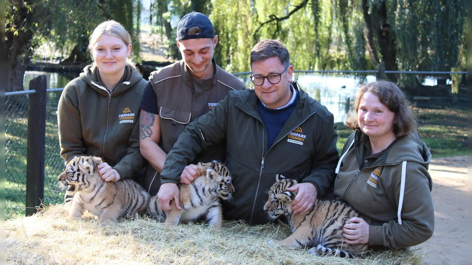Erster Gesundheits-Check: die drei kleinen Amur-Tiger werden unter anderem gechippt. (Foto: Kai Moorschlatt/dpa)
