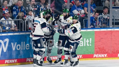 Jubeln über einen Auswärtssieg in Mannheim: die Eisbären Berlin. (Foto: Uwe Anspach/dpa)
