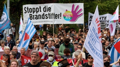 Demonstranten im Stadtteil Lichtenhagen in Rostock mit einem Transparent &quot;Stoppt die Brandstifter!&quot;. (Foto: Bernd Wüstneck/dpa)