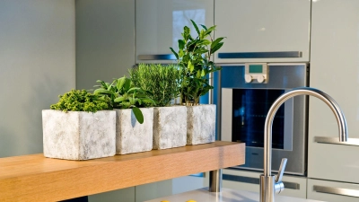 Grüne Frische in der Küche: Im Winter lassen sich viele Kräuter auch in hellen Innenräumen erfolgreich anbauen. (Foto: GMH/dpa-tmn)