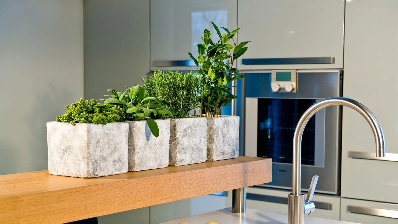 Grüne Frische in der Küche: Im Winter lassen sich viele Kräuter auch in hellen Innenräumen erfolgreich anbauen. (Foto: GMH/dpa-tmn)