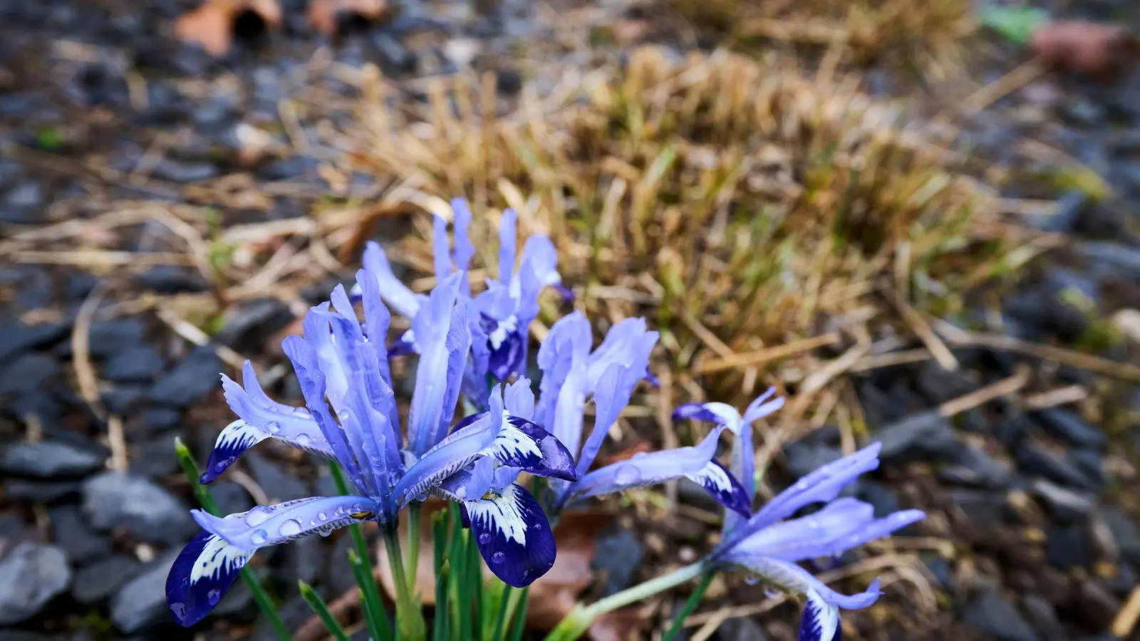 Die Temperaturen klettern in den nächsten Tagen in die Höhe. (Foto: Sascha Ditscher/dpa)