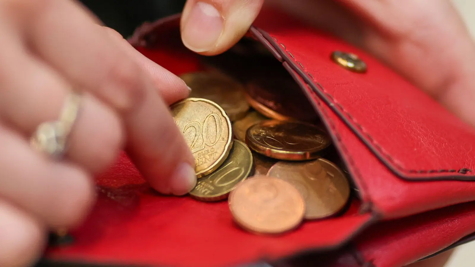 Mehr Kaufkraft: Reallöhne erneut gestiegen (Symbolbild) (Foto: Jan Woitas/dpa)