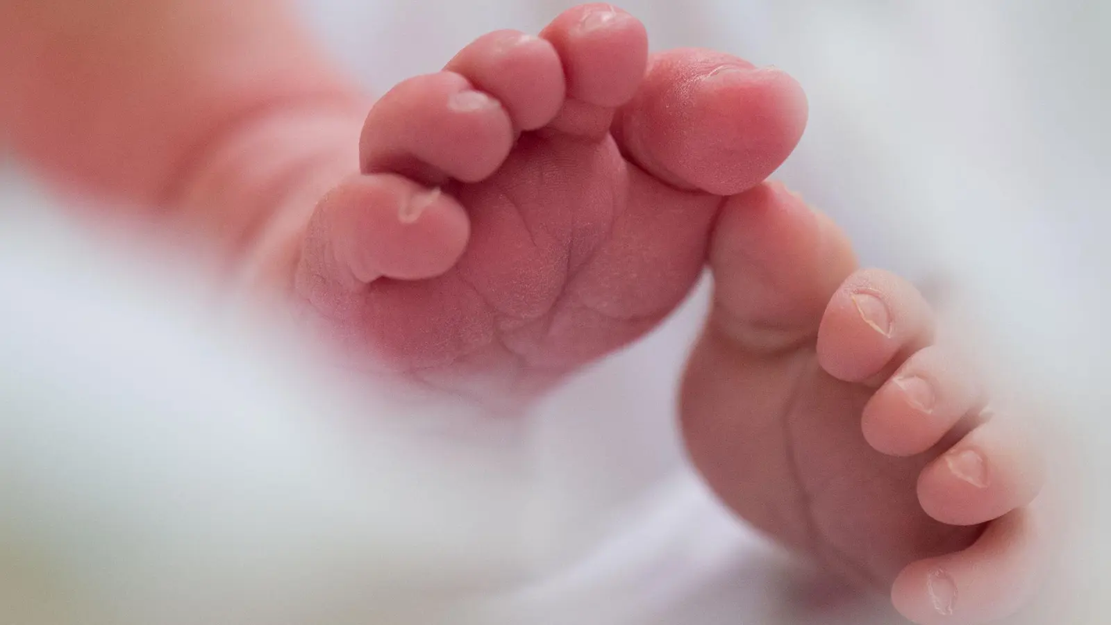 Rund 654.300 Babys wurden vergangenes Jahr in Deutschland geboren (Symbolbild). (Foto: Arno Burgi/dpa-Zentralbild/dpa)