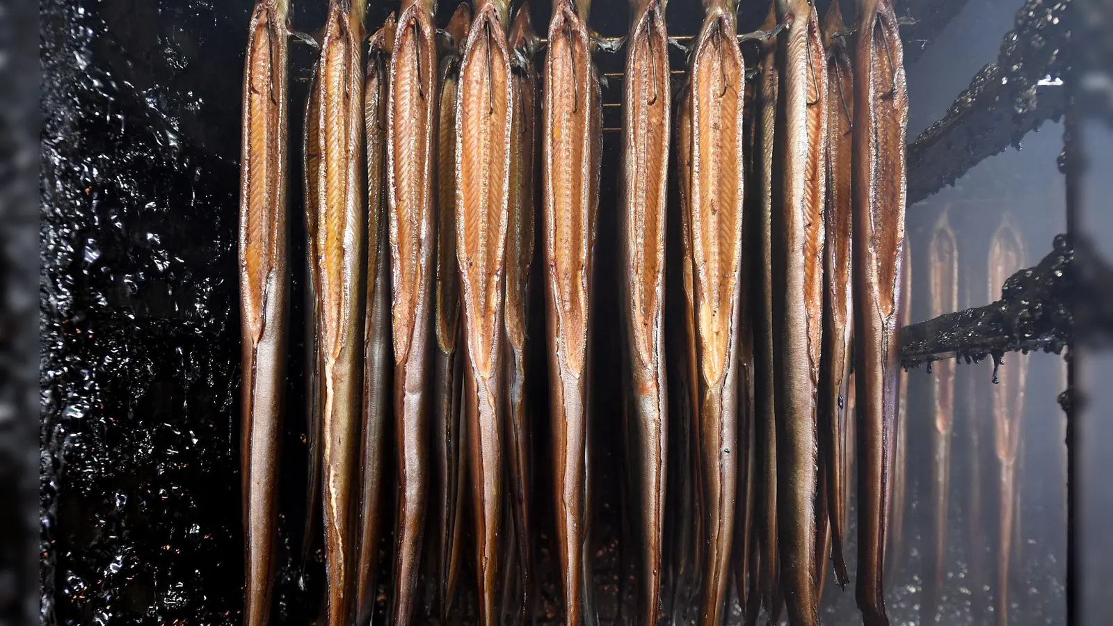 Als die Feuerwehr abrückte, waren die Aale noch nicht zu Ende geräuchert. (Symbolbild) (Foto: Holger Hollemann/dpa)