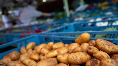 Kartoffel und andere Obst- und Gemüsesorten werden an einem Marktstand am Rotkreuzplatz angeboten. (Foto: Sven Hoppe/dpa)