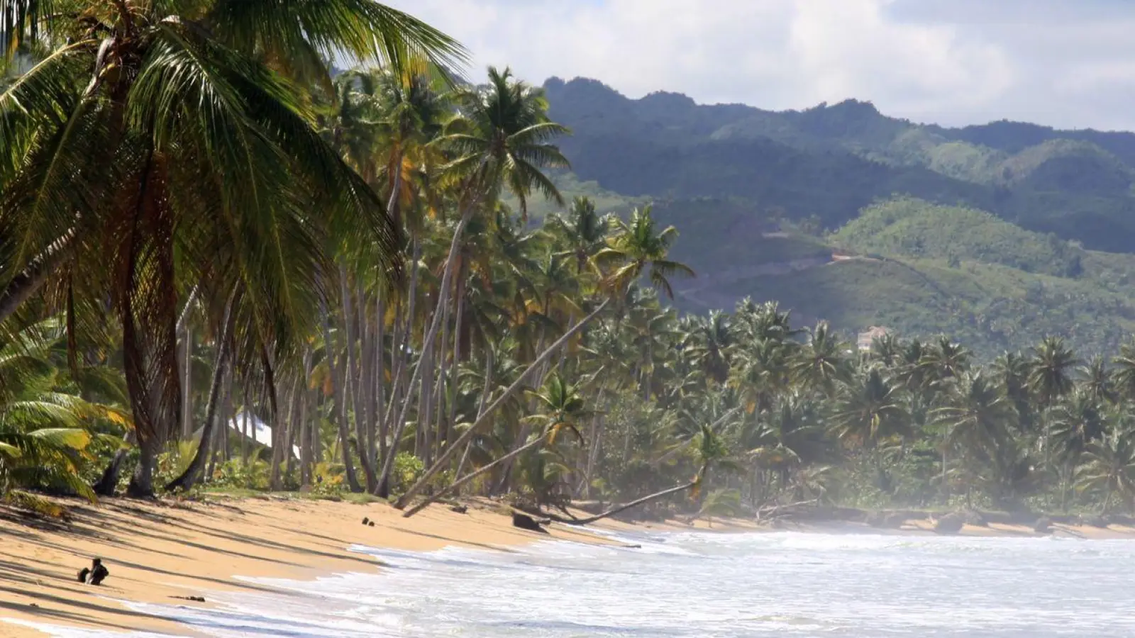 Zu schön um wahr zu sein: Der geplante Karibik-Traumurlaub fiel für einen Mann ins Wasser, weil ein Veranstalter sich im Preis geirrt hatte. (Foto: Manuel Meyer/dpa-tmn)