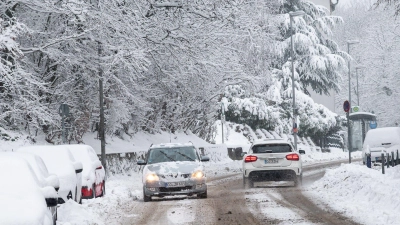 Das Winterwetter in Franken hat viele Auswirkungen - Bäume, die unter der Schneelast zusammenbrechen, führen beispielsweise zu Stromausfällen. (Symbolbild) (Foto: Daniel Vogl/dpa)