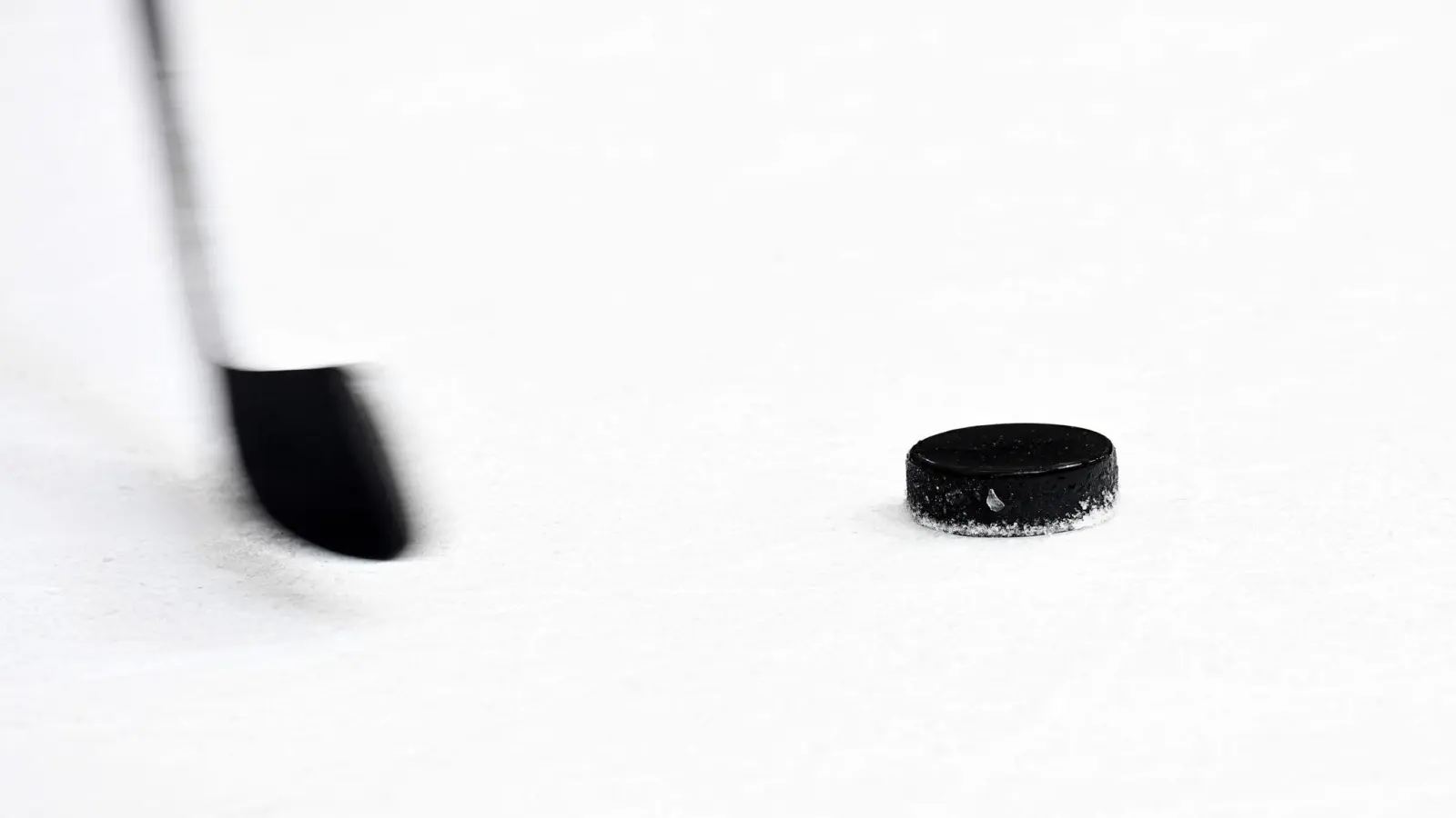 Ein Puck und ein Eishockeyschläger. (Foto: Tobias Hase/dpa)