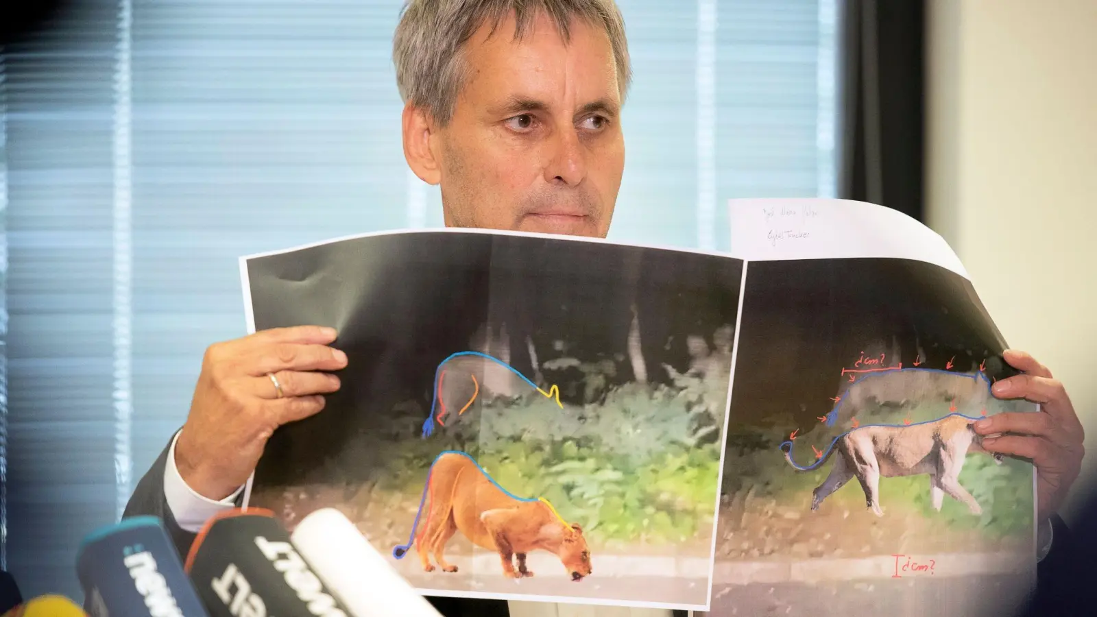 Michael Grubert erklärt während einer Pressekonferenz anhand von Fotos, weshalb es sich bei dem gesuchten Raubtier um keine Löwin handelt. (Foto: Paul Zinken/dpa)