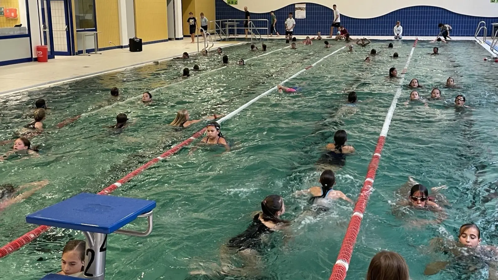 Die Schülerinnen und Schüler sowie die Lehrkräfte der Neustädter Realschule legten zusammen knapp 18.000 Bahnen im Hallenbad zurück, um Geld für gute Zwecke zu sammeln. (Foto: Nadja Förth)
