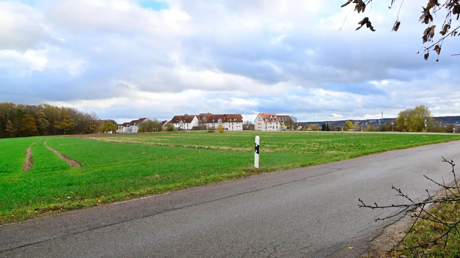 Im Weinbergplateau II soll auf einer Fläche von rund 6,5 Hektar neuer Wohnraum entstehen. Vor allem Oberbürgermeister Thomas Deffner ist ein großer Befürworter des Vorhabens. (Archivbild: Jim Albright)
