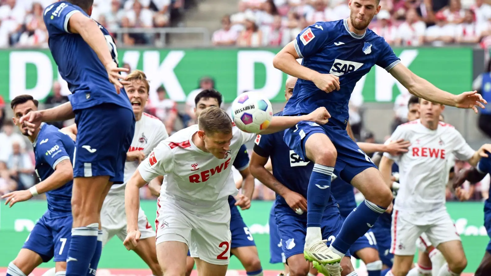 Kölns Steffen Tigges (M-l) und Hoffenheims Anton Stach (M-r) kämpfen um den Ball. (Foto: Federico Gambarini/dpa)