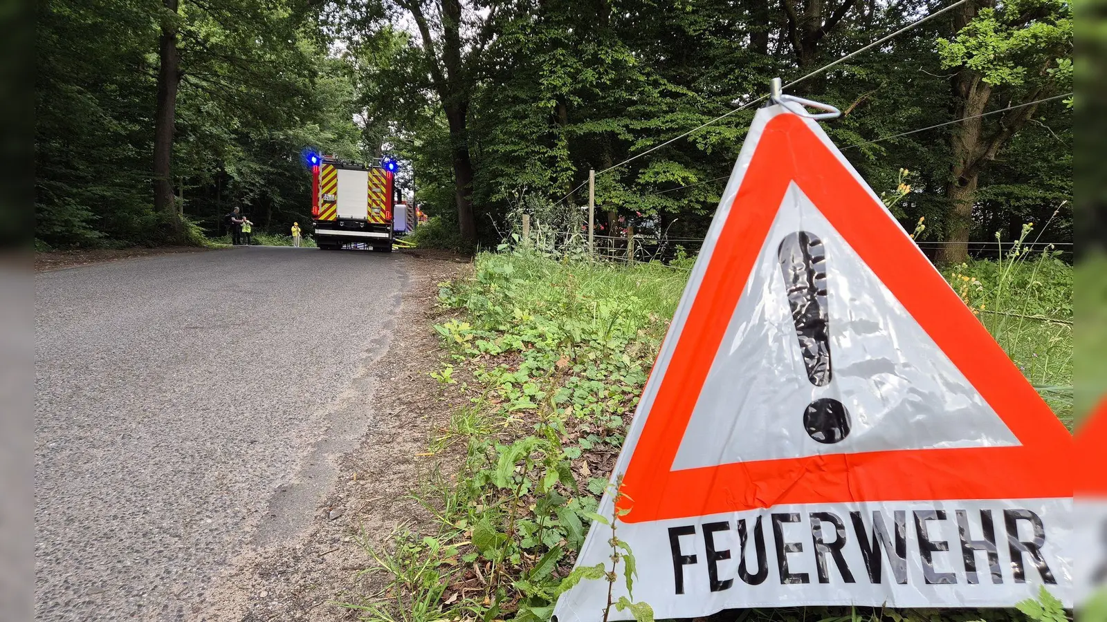 Die Gefahr von Waldbränden nimmt in Deutschland wieder zu. (Symbolbild) (Foto: str/dpa)