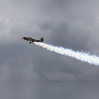 Die Rauchschwaden der Kunstflieger lassen alles noch viel spektakulärer aussehen. (Foto: Daniel Christ)