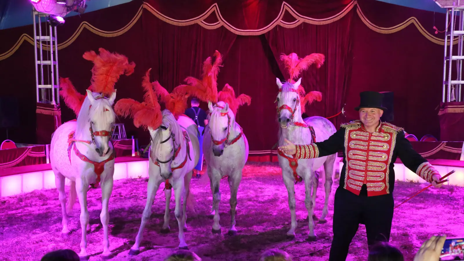 Auch eine Pferdedressur gibt es im Programm zu bestaunen. Zirkusdirektor Alois Frank tritt mit seinen Araber-Hengsten auf. (Foto: Alexander Biernoth)