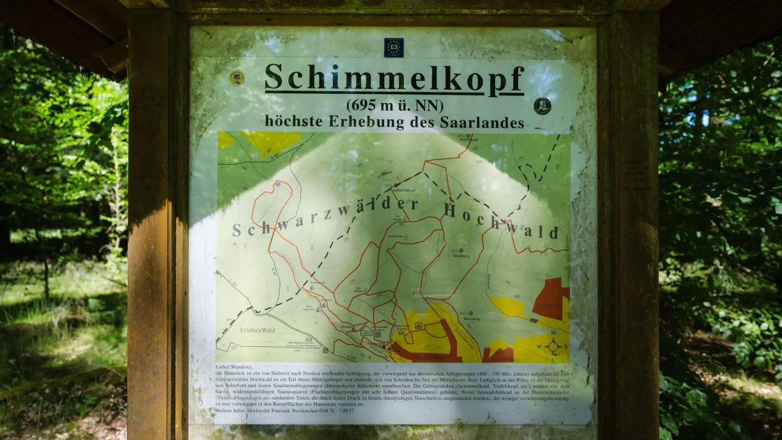 Jahrzehntelang war der Schimmelkopf die höchste natürliche Erhebung des Saarlandes. - bis 2005 neue, präzisere Messungen kamen. (Foto: Oliver Dietze/dpa)