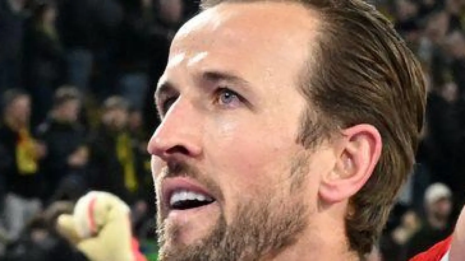 Über eigene Tore wird Kane diesmal nicht jubeln. (Archivbild) (Foto: David Inderlied/dpa)