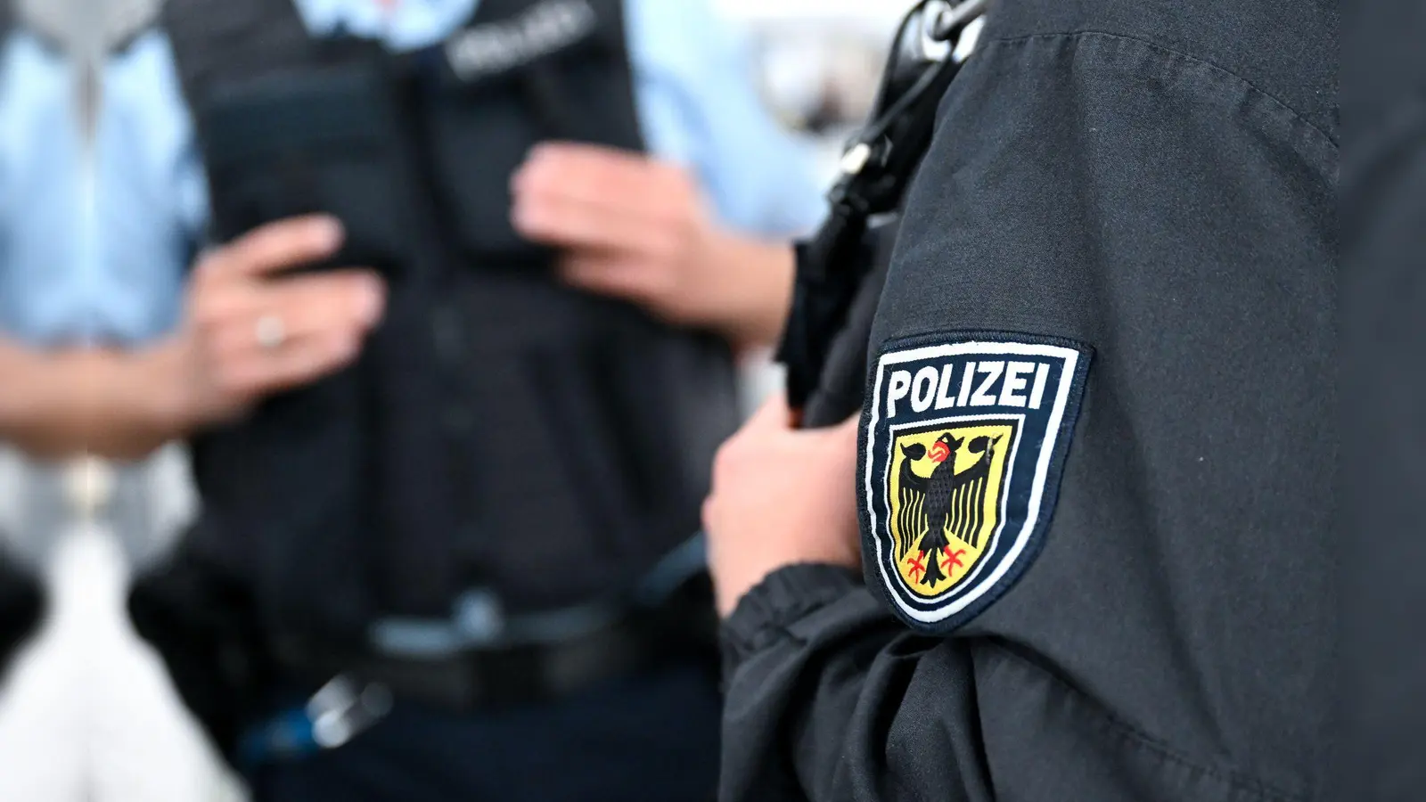 Ein 34-Jähriger ist am Münchner Hauptbahnhof zunächst ins Gleis gestürzt und hat später Widerstand gegen Bundespolizisten geleistet. (Symbolbild) (Foto: Sven Hoppe/dpa)