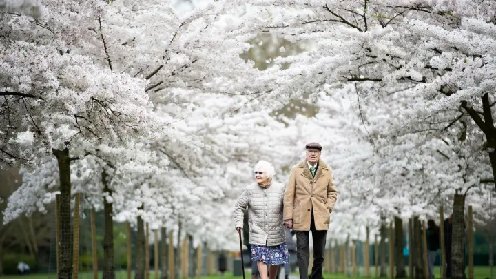 Trotz häufigerer körperlicher Beschwerden sind ältere Menschen in der Regel glücklicher und zufriedener als mittelalte Erwachsene. (Foto: Aaron Chown/PA Wire/dpa)
