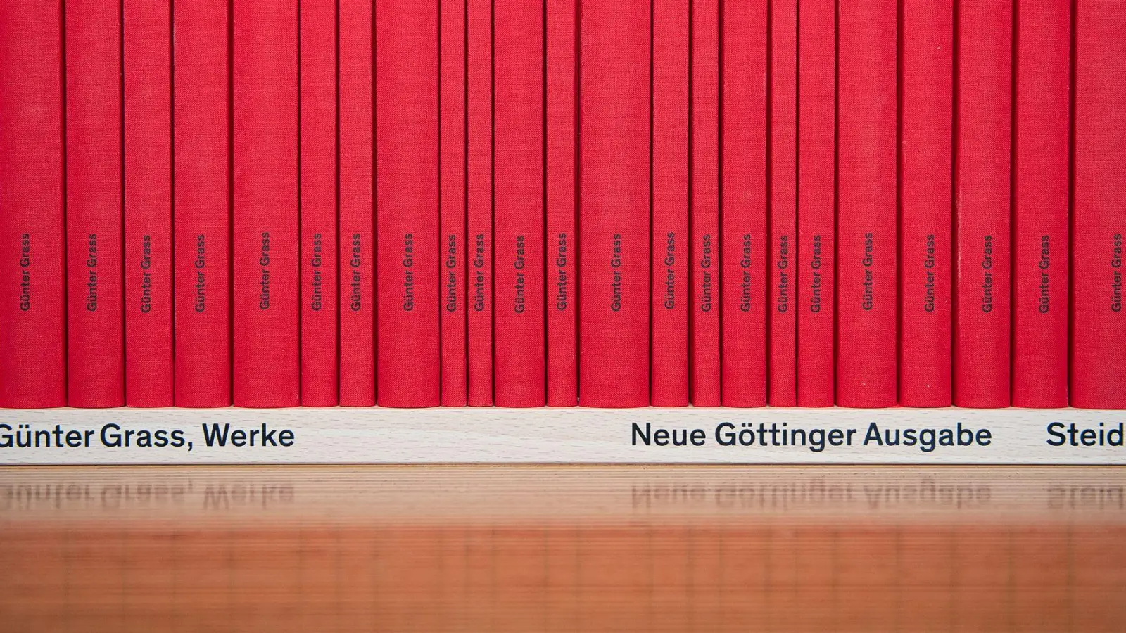 Der Göttinger Steidl-Verlag steckt in einem vorläufigen Insolvenzverfahren. Der Verlag hält die Weltrechte am Werk von Günter Grass. (Archivbild) (Foto: Swen Pförtner/dpa)