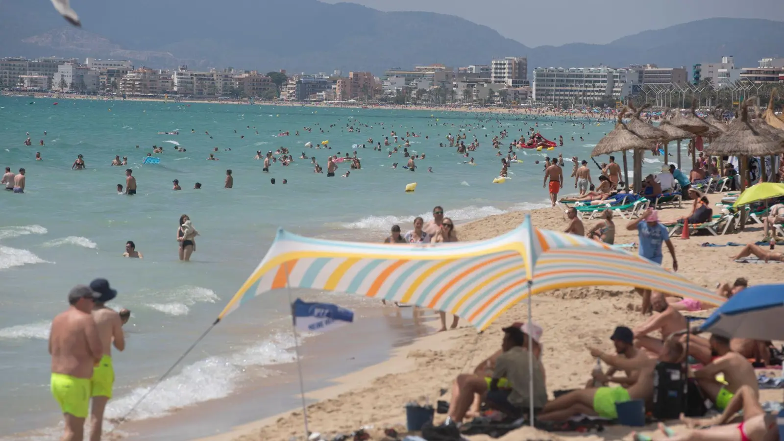 Fischattacken stören die Idylle an der spanischen Mittelmeerküste fast nie. (Archivfoto) (Foto: Clara Margais/dpa)