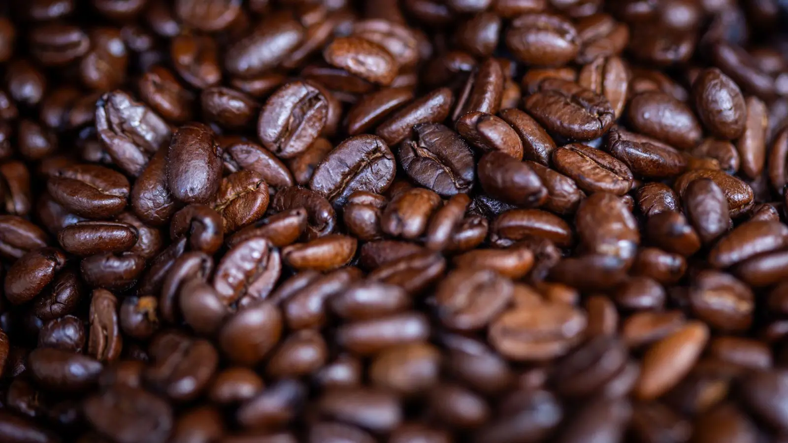 Umfragen zufolge trinken 68 Prozent der Menschen in Deutschland täglich Kaffee, 15 Prozent mehrmals wöchentlich. (Archivbild) (Foto: Jens Büttner/dpa)