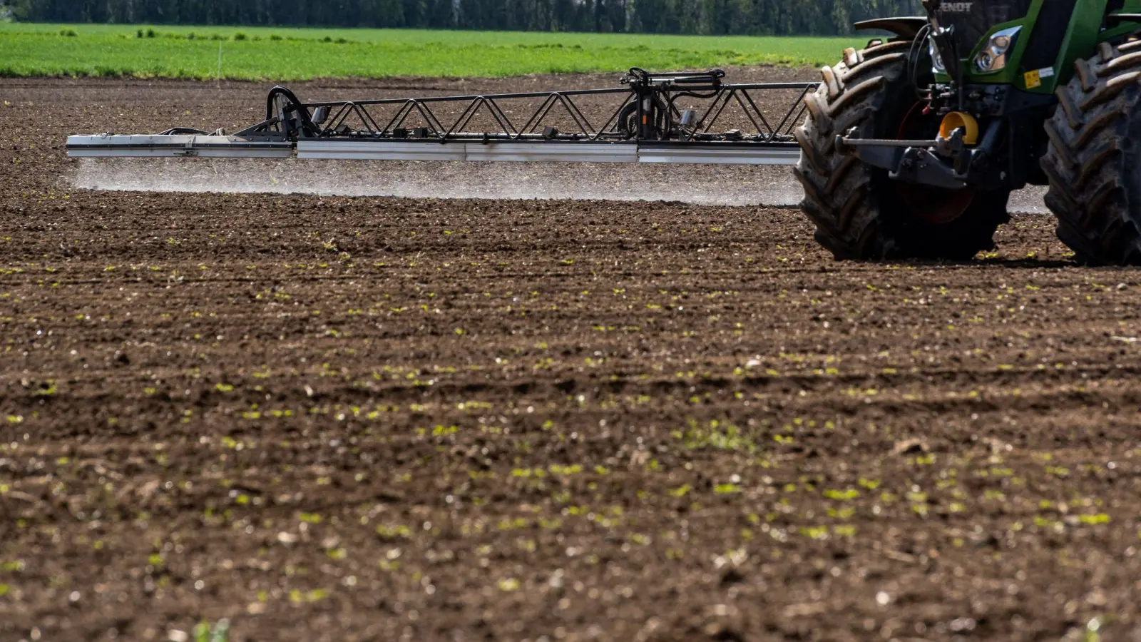 Ein Traktor bringt auf einem Acker Pflanzenschutzmittel aus. (Foto: Armin Weigel/dpa)