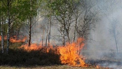 Der Waldbrand in Jüterbog in Brandenburg breitet sich aus (Foto: Manuel Genolet/dpa)