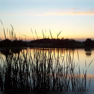 Abendidylle am Weiher - gesehen in Traishöchstädt (Foto: Cornelia Voigt)