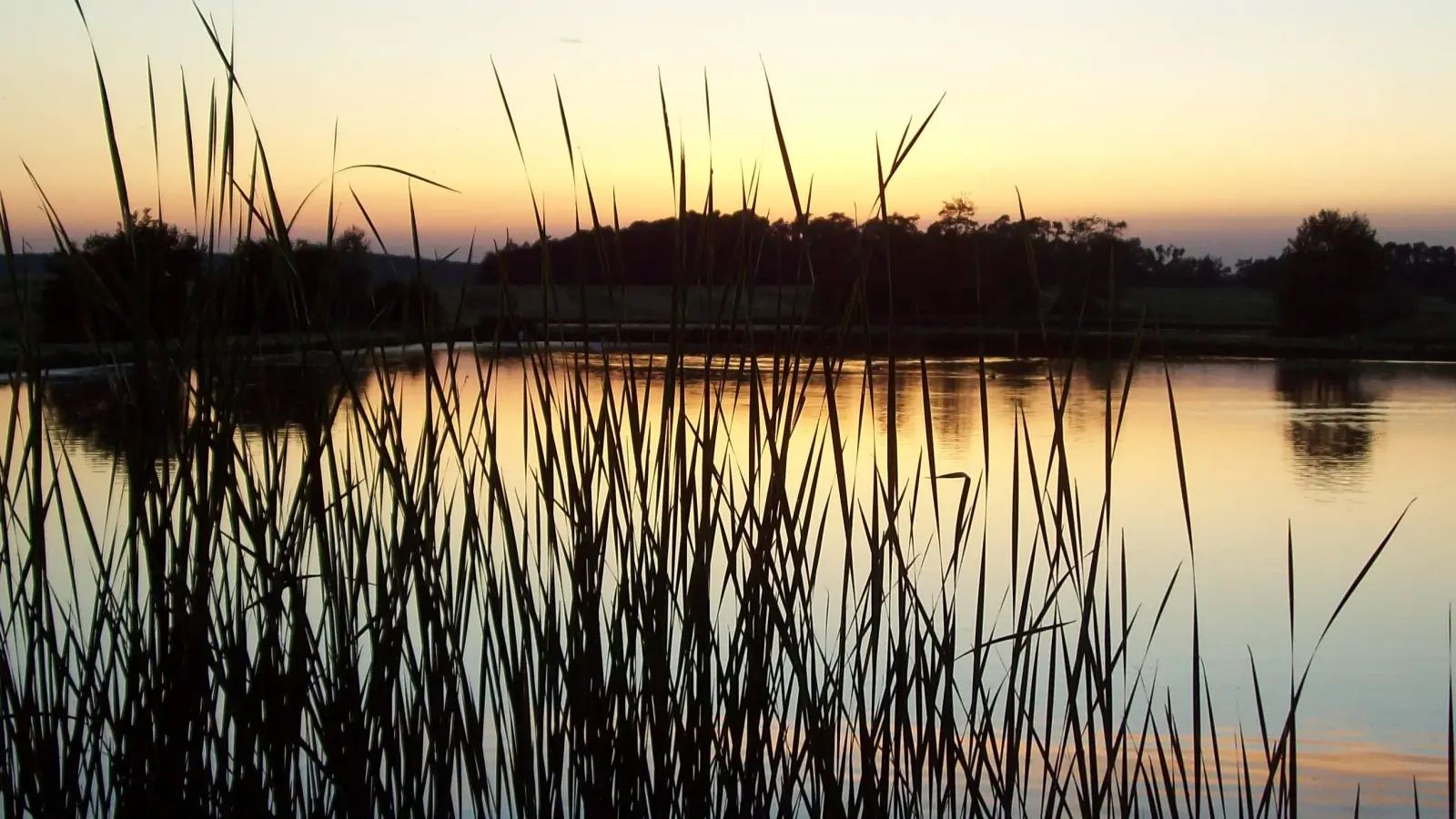 Abendidylle am Weiher - gesehen in Traishöchstädt (Foto: Cornelia Voigt)