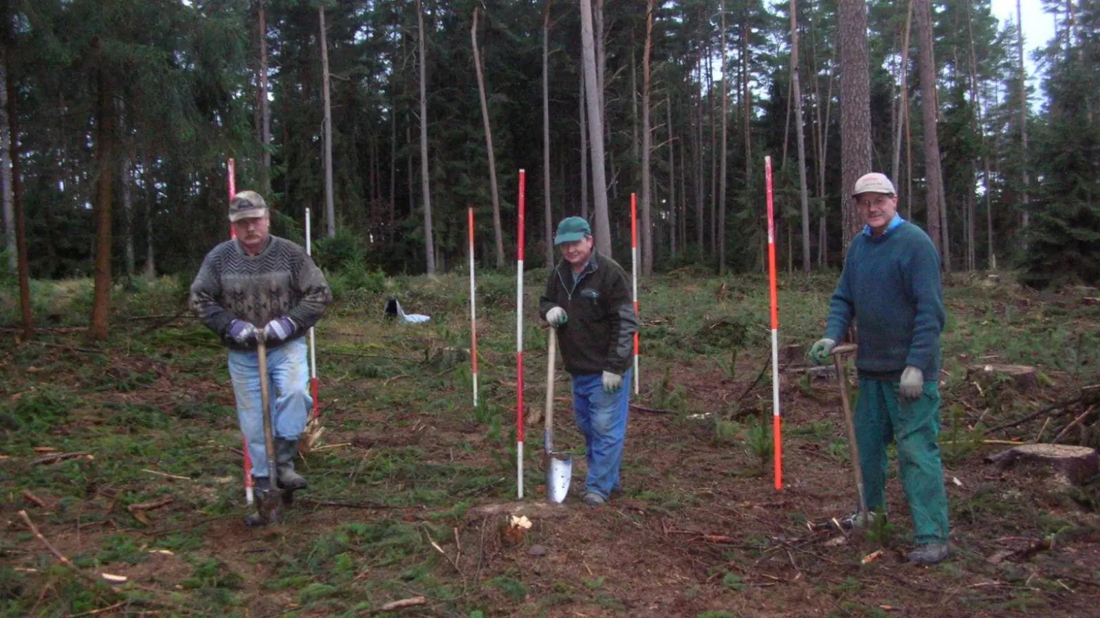 Wer die Arbeit im Wald nicht schafft, für den bieten die Forstzusammenschlüsse passende Dienstleistungen von der Pflanzung über die Pflege bis zum Einschlag an. (Foto: Fritz Arnold)