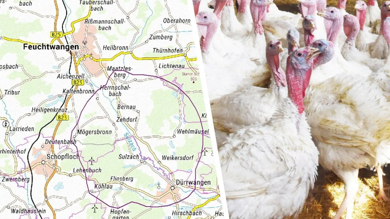 Wegen des Ausbruchs der Geflügelpest in Feuchtwangen hat das Landratsamt Ansbach strenge Auflagen für Tierhalter in der Umgebung erlassen. (Foto: Landratsamt Ansbach, Silvia Schäfer)