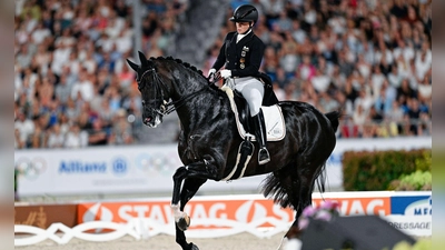 Isabell Werth verteidigt den Pferdesport gegen Kritiker. (Archivbild) (Foto: Uwe Anspach/dpa)