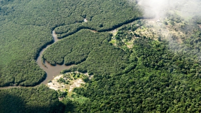 Das Amazonasgebiet um Manaus in Brasilien. Vor allem Aktivisten, die sich gegen die Agrarindustrie, Bergbau und Holzfällerei einsetzen, leben gefährlich. (Foto: Jens Büttner/dpa)