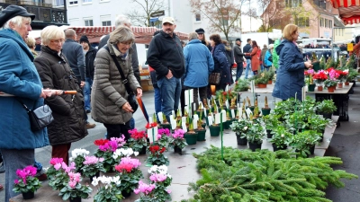 Die Stadt Neustadt lädt alle Gäste aus nah und fern herzlich ein, gemütlich durch die Innenstadt zu bummeln und die regionale Geschäftswelt zu unterstützen. Auch für das leibliche Wohl wird wieder bestens gesorgt sein. (Foto: Gudrun Schwarz-Köhler)