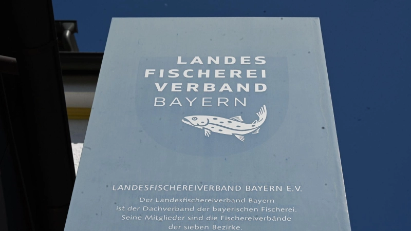 Der Präsident des Landes Fischereiverbands Bayern ist zurückgetreten.  (Foto: Florian Diettrich/dpa)